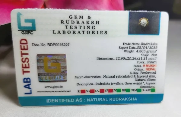9 Mukhi Certificate