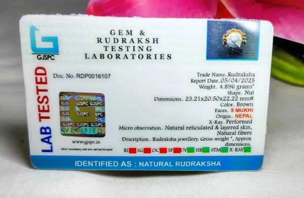 9 Mukhi Certificate