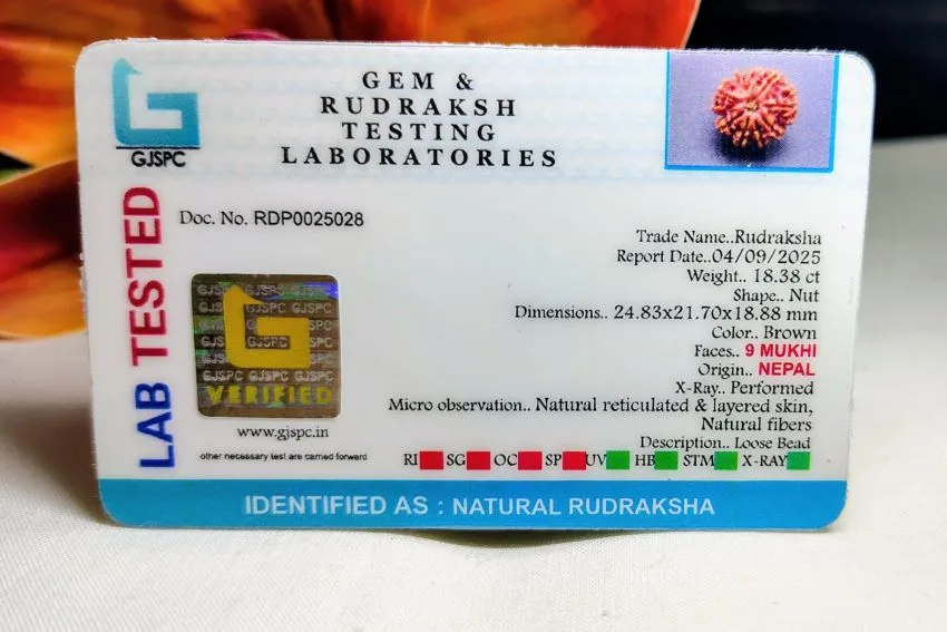 9 Mukhi Certificate