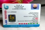 9 Mukhi Certificate
