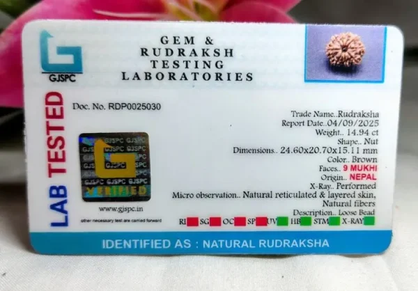 9 Mukhi Certificate