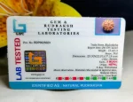 9 Mukhi Certificate