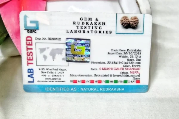 9 Mukhi Certificate
