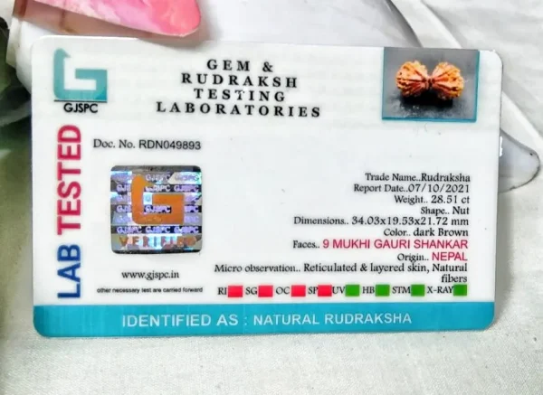 9 Mukhi Certificate