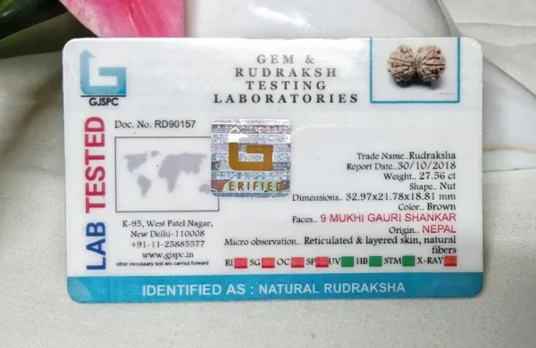 9 Mukhi Certificate