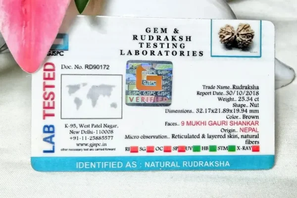 9 Mukhi Certificate