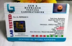 9 Mukhi Certificate