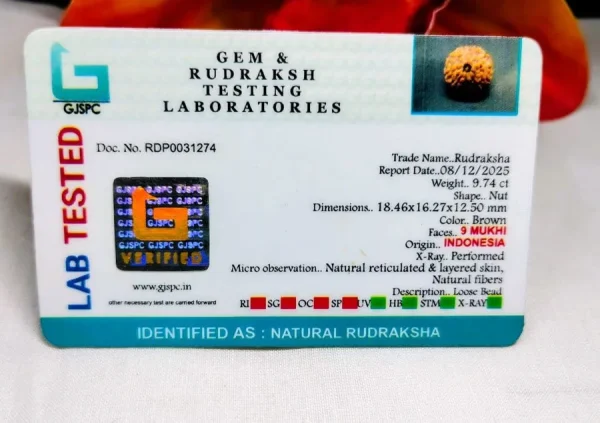 9 Mukhi Certificate