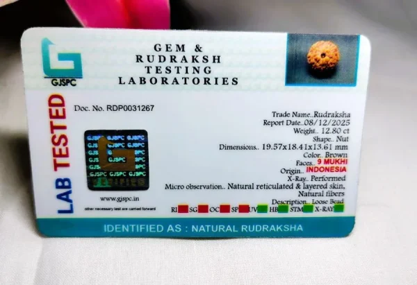 9 Mukhi Certificate