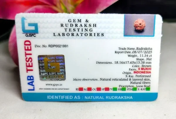 9 Mukhi Certificate