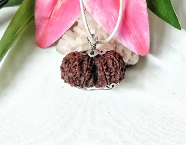 9 Mukhi Gaurishankar Rudraksha