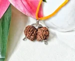 9 Mukhi Gaurishankar Rudraksha