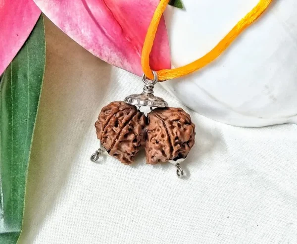 9 Mukhi Gaurishankar Rudraksha
