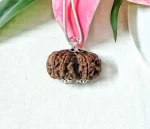 9 Mukhi Gaurishankar Rudraksha