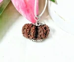 9 Mukhi Gaurishankar Rudraksha