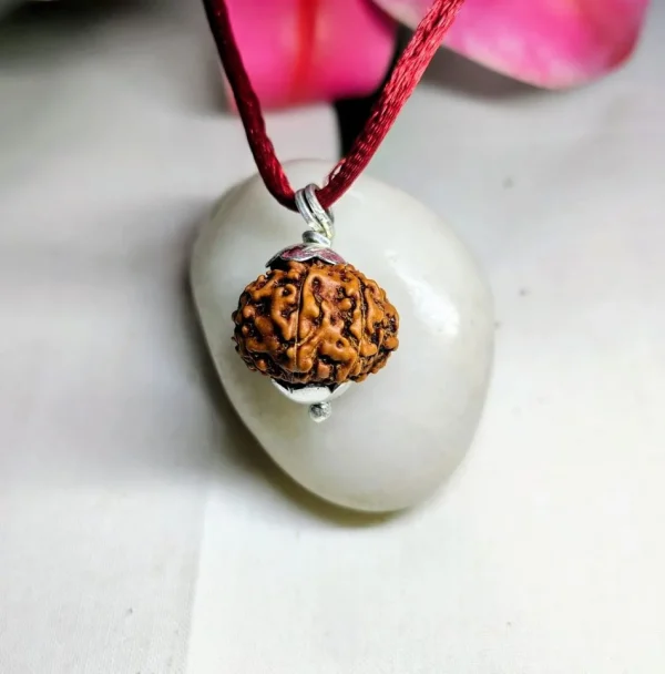 9 Mukhi Rudraksha