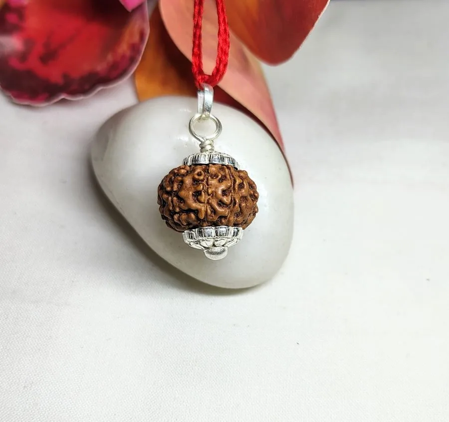 9 Mukhi Rudraksha