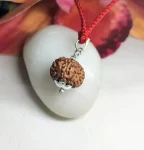 9 Mukhi Rudraksha