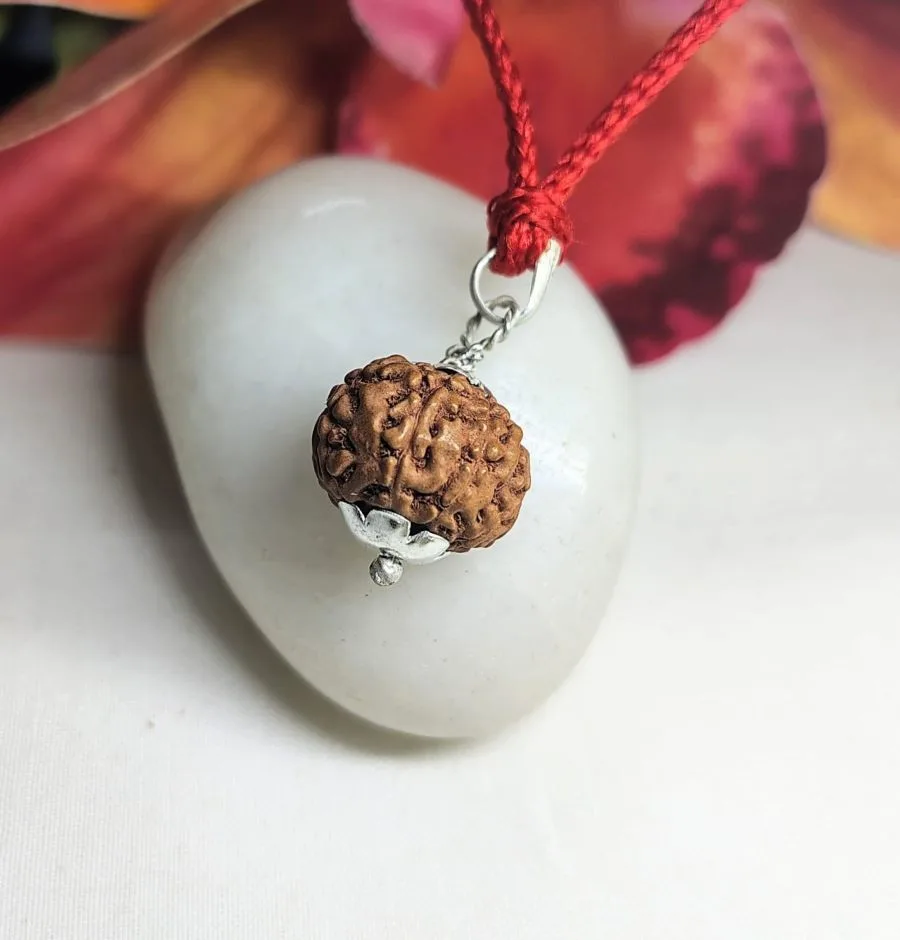 9 Mukhi Rudraksha