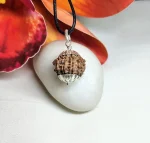 9 Mukhi Rudraksha