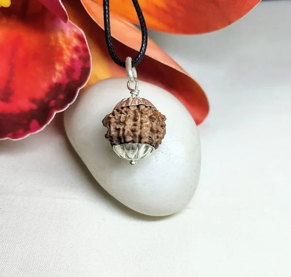 9 Mukhi Rudraksha
