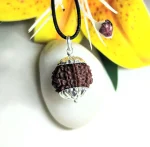 9 Mukhi Rudraksha