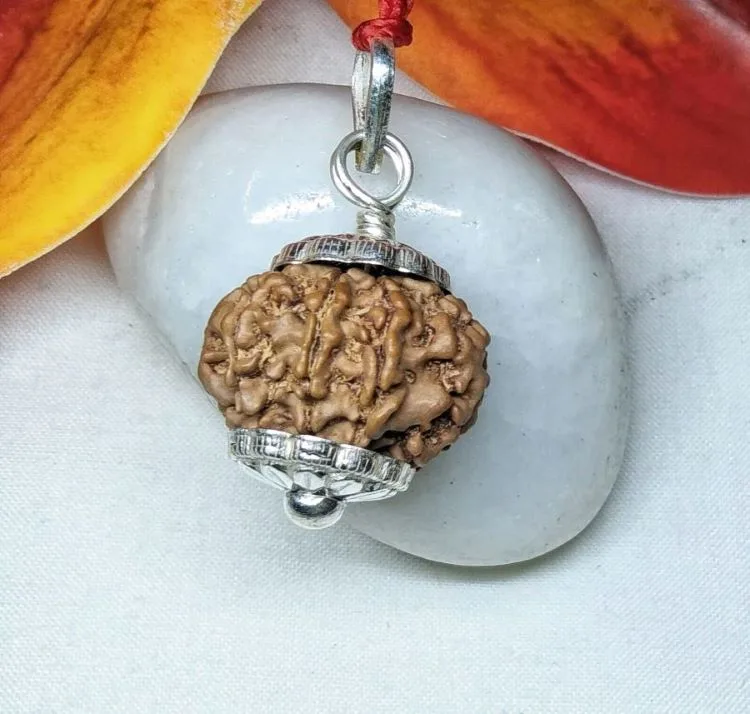 9 Mukhi Rudraksha