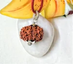 9 Mukhi Rudraksha