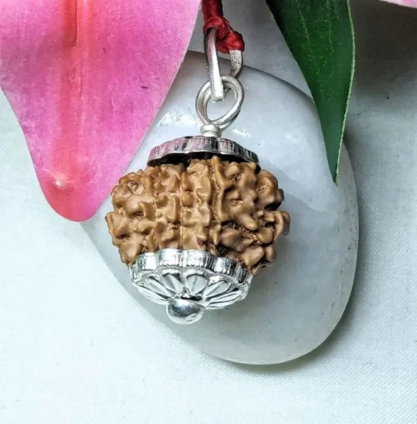9 Mukhi Rudraksha