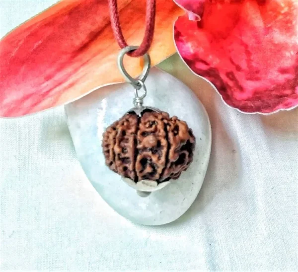 9 Mukhi Rudraksha