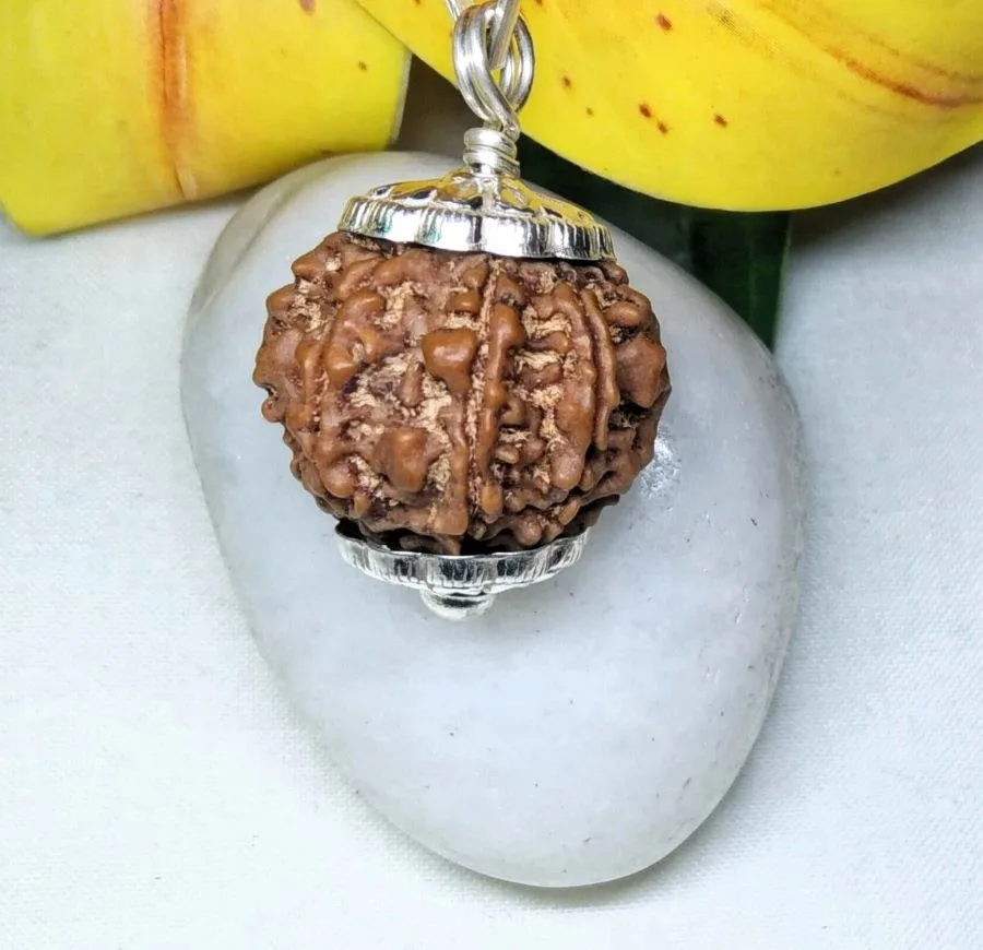 9 Mukhi Rudraksha
