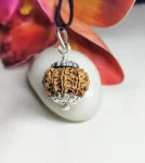 9 Mukhi Rudraksha