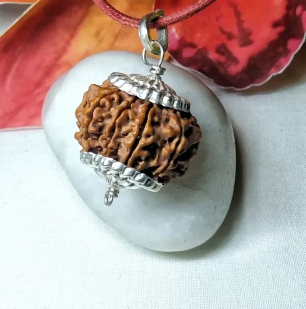 9 Mukhi Rudraksha