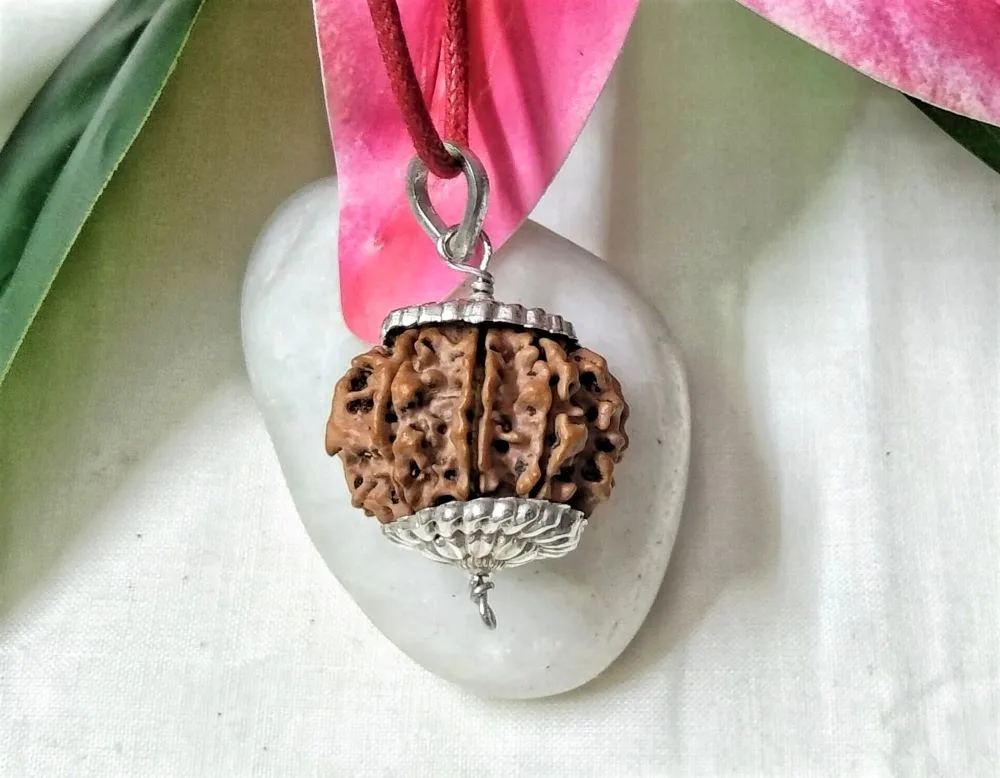 9 Mukhi Rudraksha