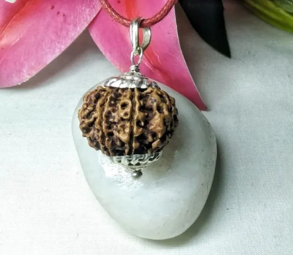 9 Mukhi Rudraksha