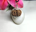 9 Mukhi Rudraksha