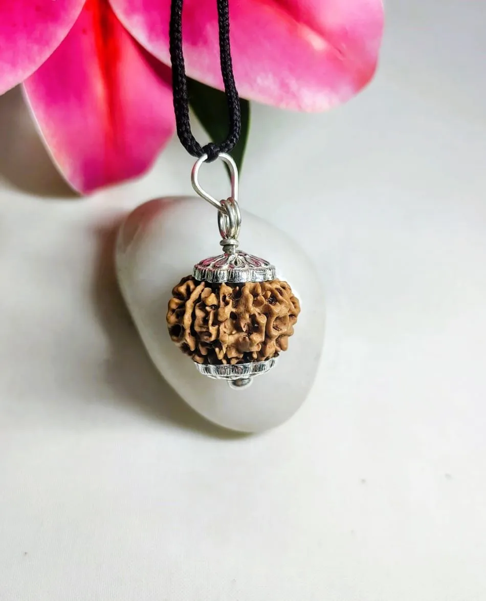 9 Mukhi Rudraksha