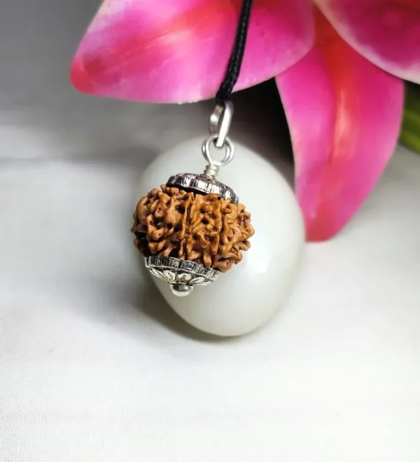 9 Mukhi Rudraksha
