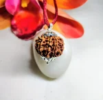 9 Mukhi Rudraksha