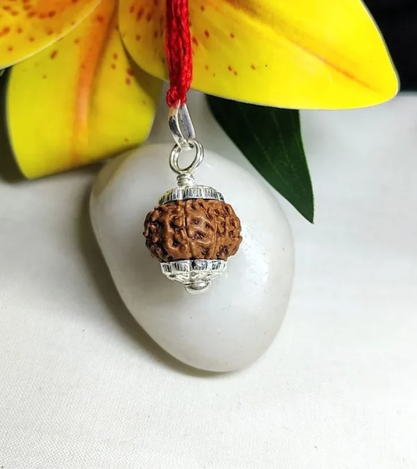 9 Mukhi Rudraksha
