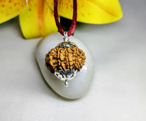 9 Mukhi Rudraksha