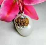 9 Mukhi Rudraksha