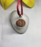 9 Mukhi Rudraksha