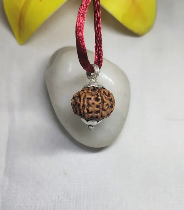 9 Mukhi Rudraksha