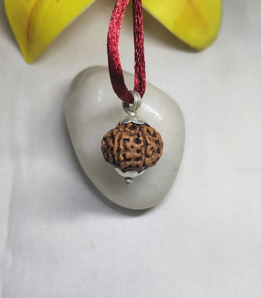 9 Mukhi Rudraksha