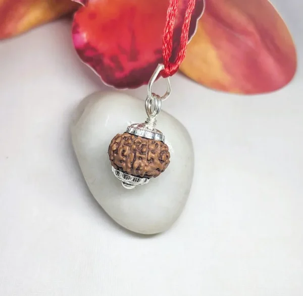 9 Mukhi Rudraksha