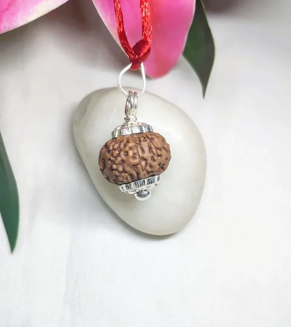 9 Mukhi Rudraksha