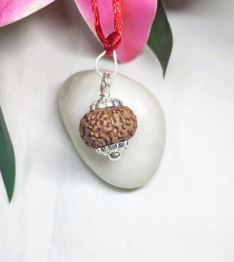 9 Mukhi Rudraksha