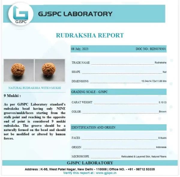 9 Mukhi Certificate