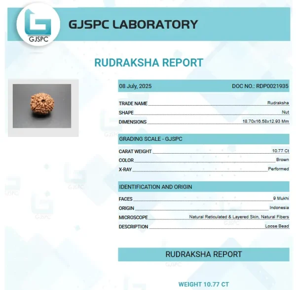 9 Mukhi Certificate